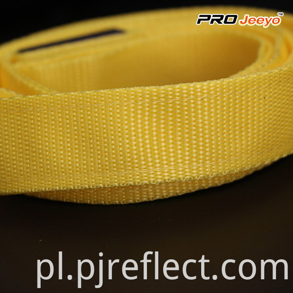 High Visibility Safety Reflectivepets Leashessvp Zd004